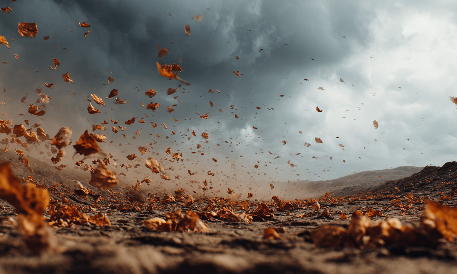 Drømmestigen 2 - Alt det, vi bliver